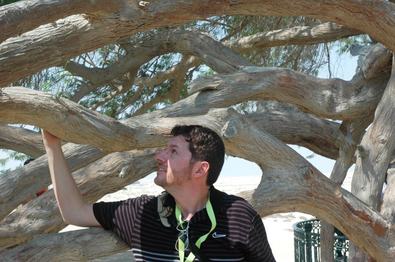 Arbol de la Vida en Bahrein