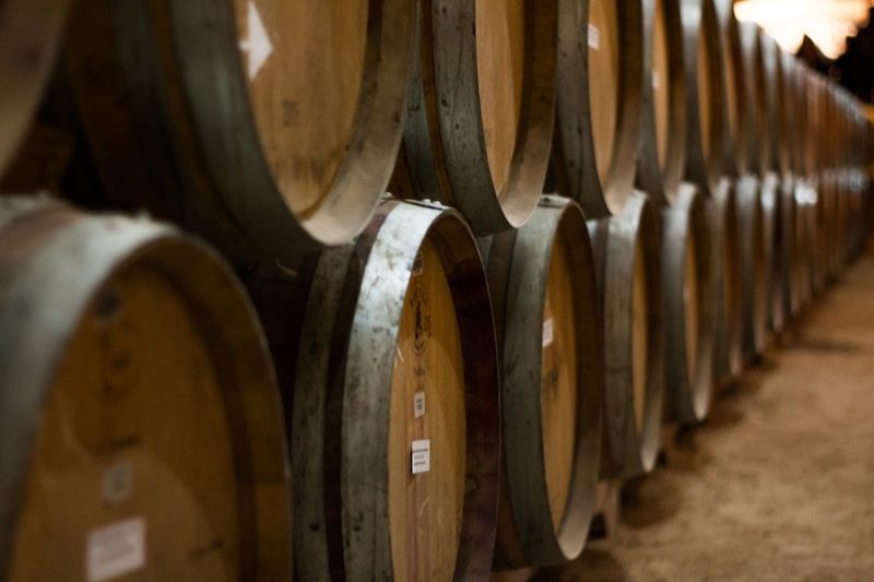 Bodega Undurraga en Valle del Maipo