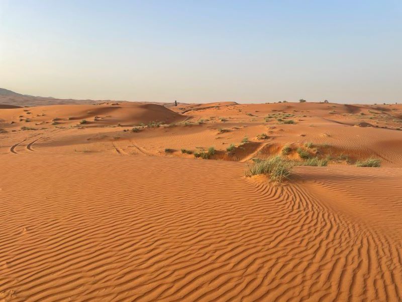 Desierto de Emiratos