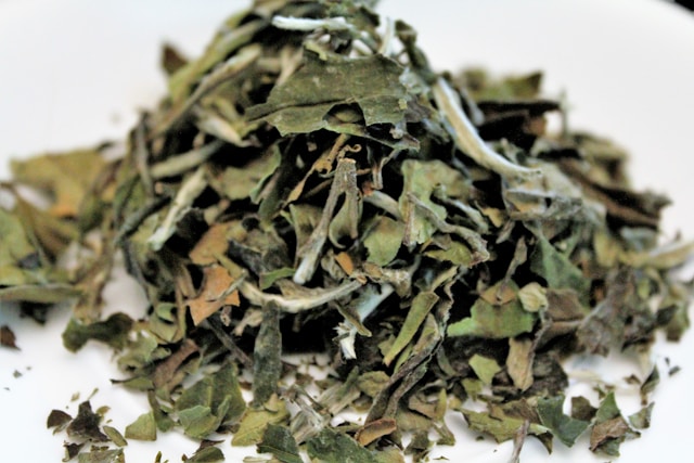 té indio blanco